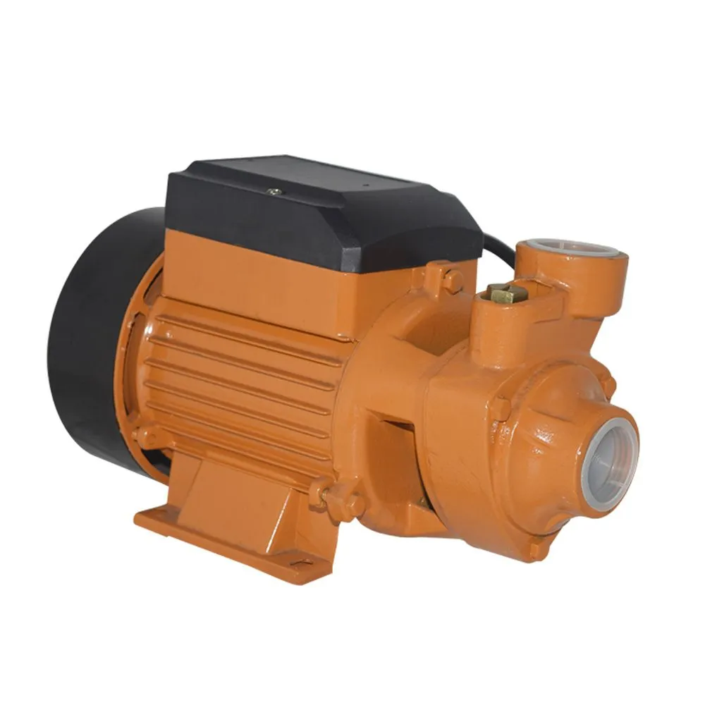 QB60 Vortex Water Purifier Pump, Suitable for Swimming Pools