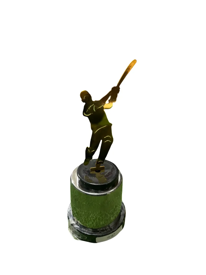 Cricket Batter Trophy