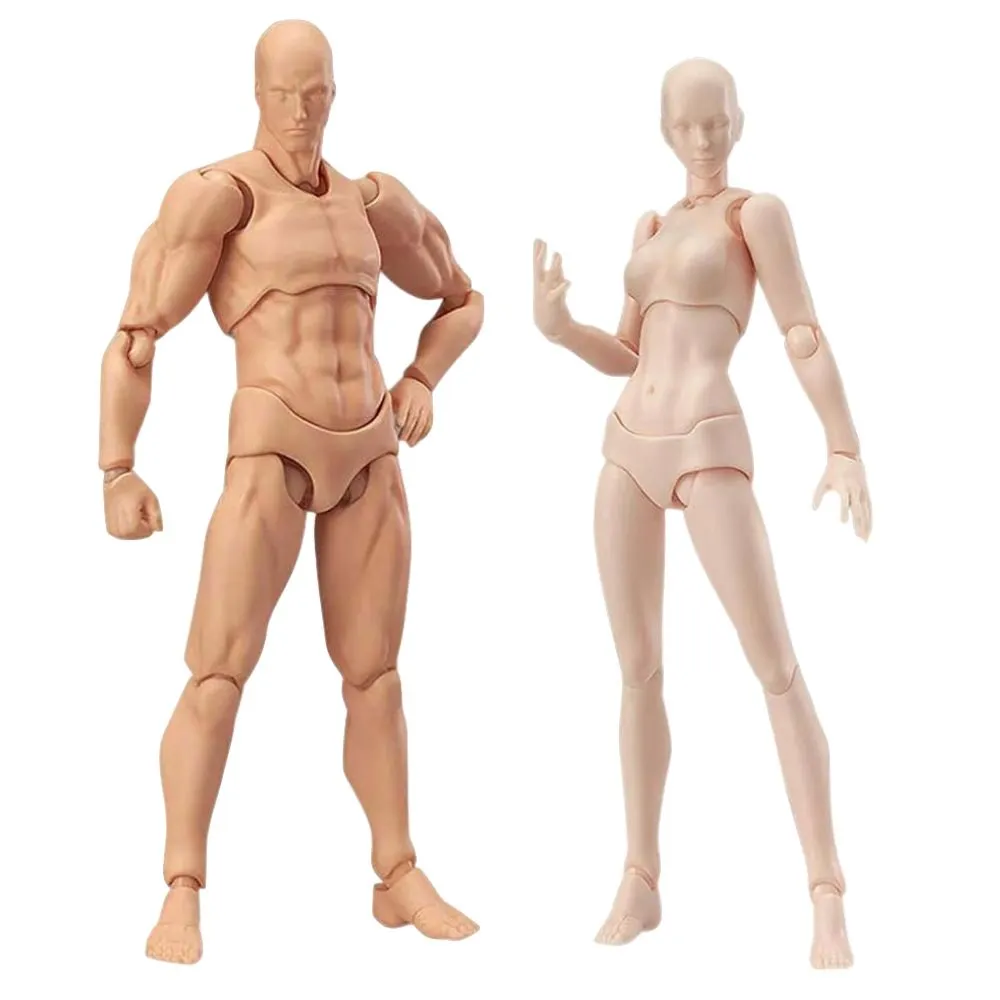 Craft Man and Woman Art Mannequin Action Figure Models With Movable Joints