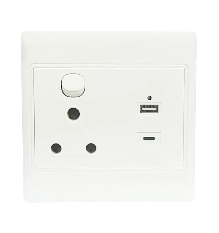 4x4 Switch Socket with Type C - EMS