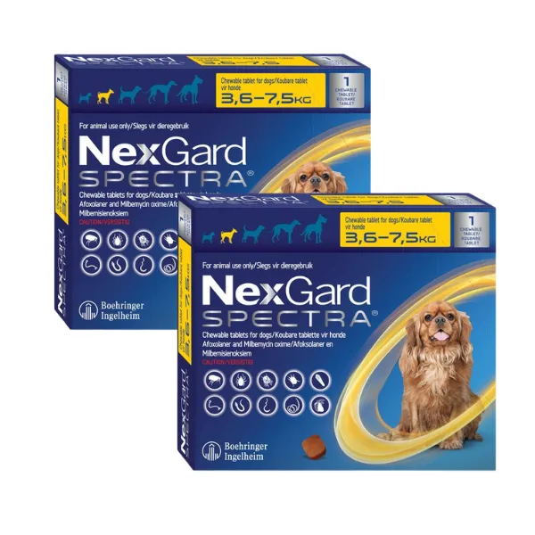 Nexgard Spectra Chewable Tab, Dogs -3,6-7,5kg -Flea,Tick,Worm,Mite -2 Pack