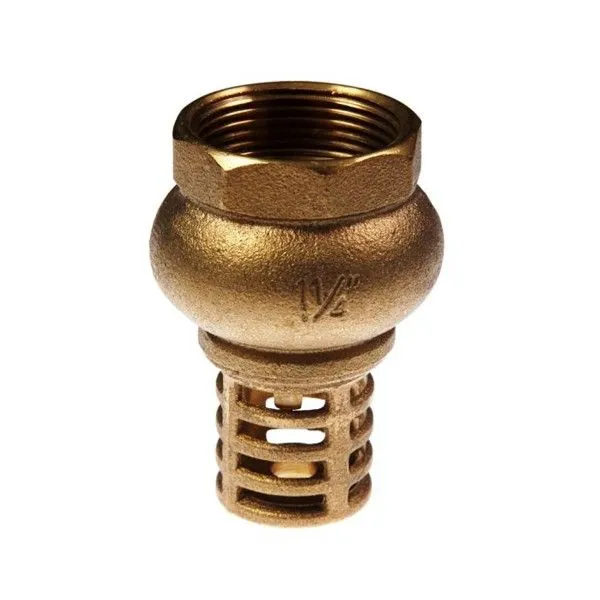 Heavy Duty Brass Foot Valve - 25mm