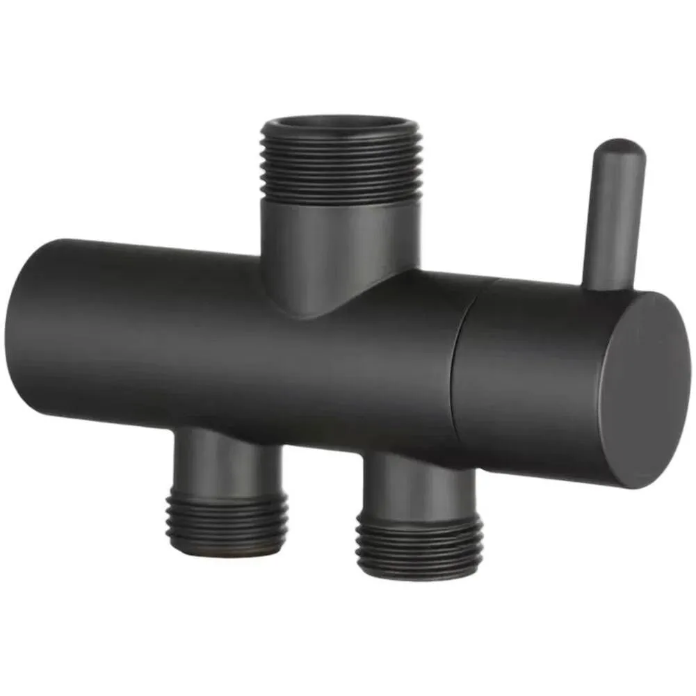 Renovation Copper Chrome Compact Round Shower Valve Two-Function - China Mainland-Black