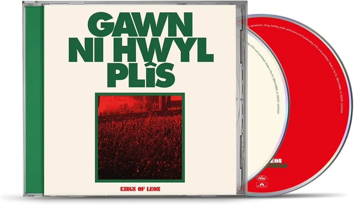 Kings of Leon - Can We Please Have Fun