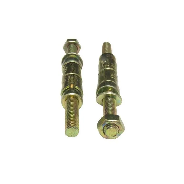 Expansion Projection Bolts 8 x 110mm - 6 Pack 3M46