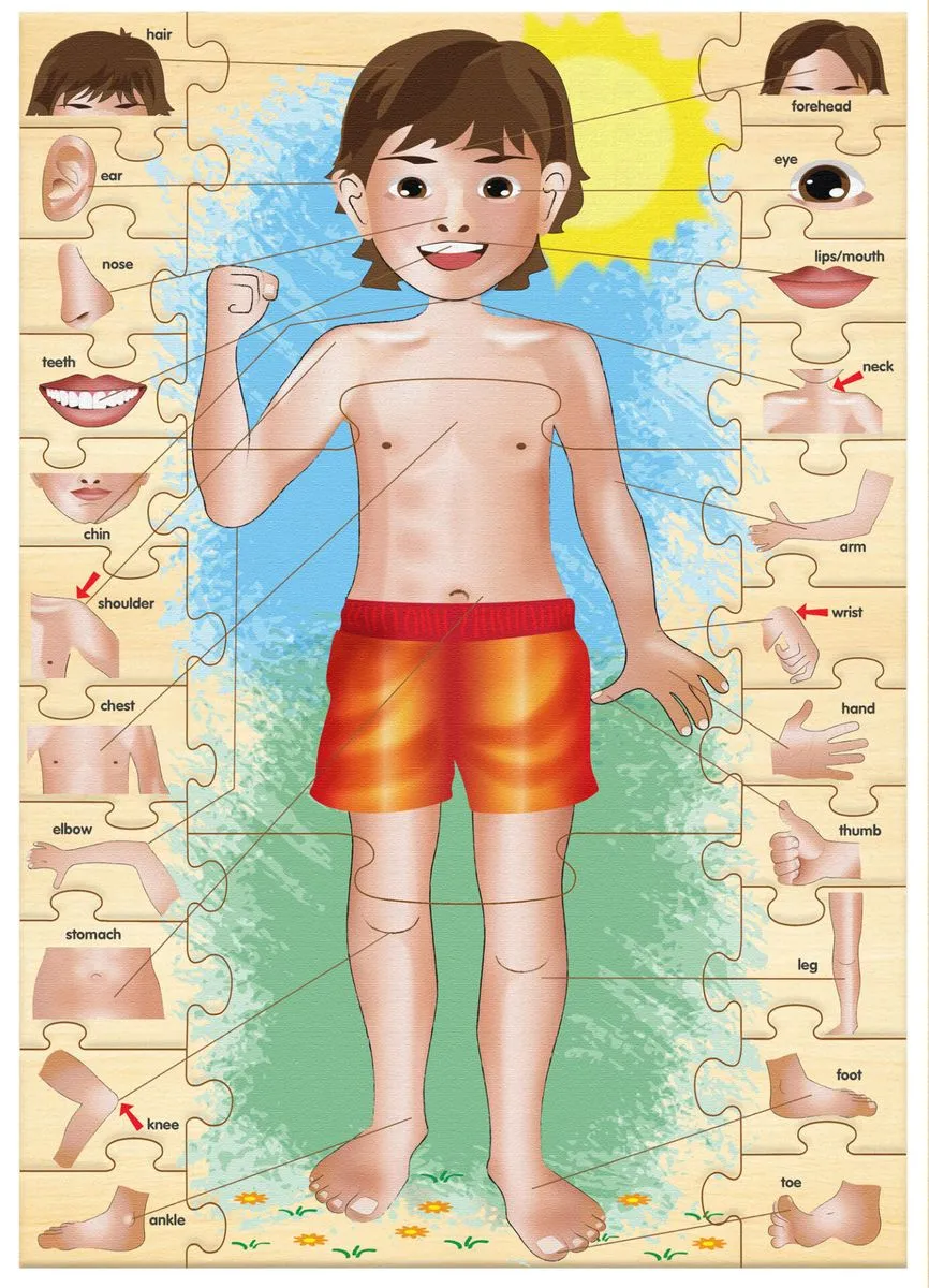 RGS Group - My Body Parts Educational Puzzle Game - Wooden
