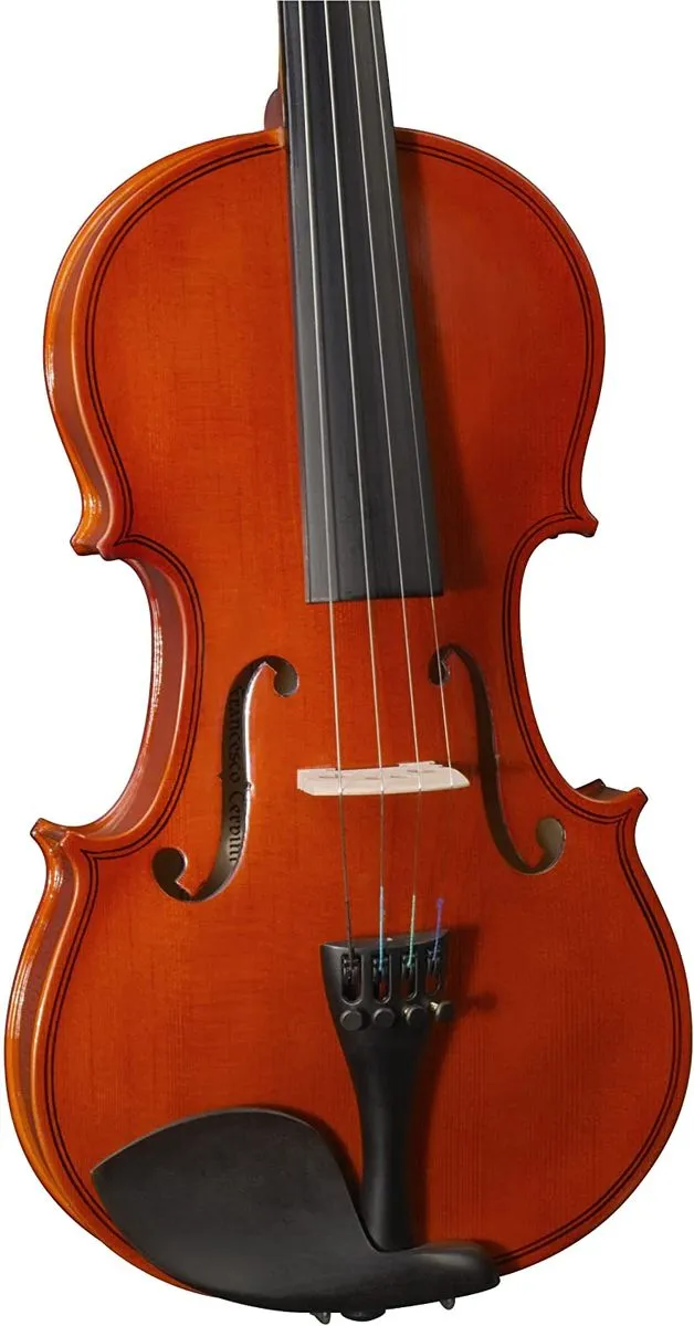 Cervini HV100 4/4 Violin Outfit