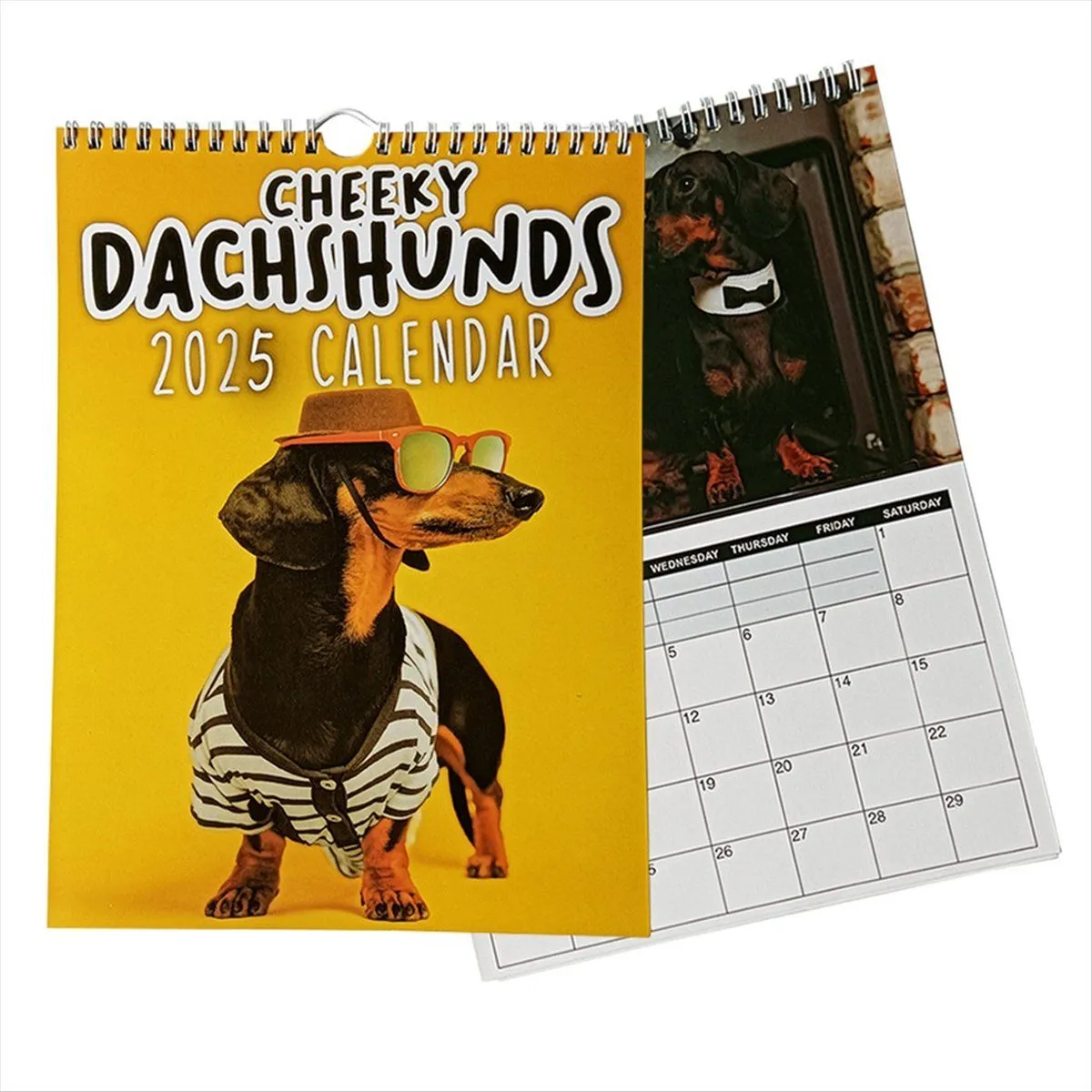 Cheeky Dachshunds - 2025 Wall Calendar New Year Gifts Wall Calendar