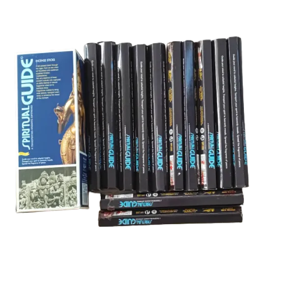 HEM Spiritual Guide Incense Sticks - Hex-12 packs of 17 grams each