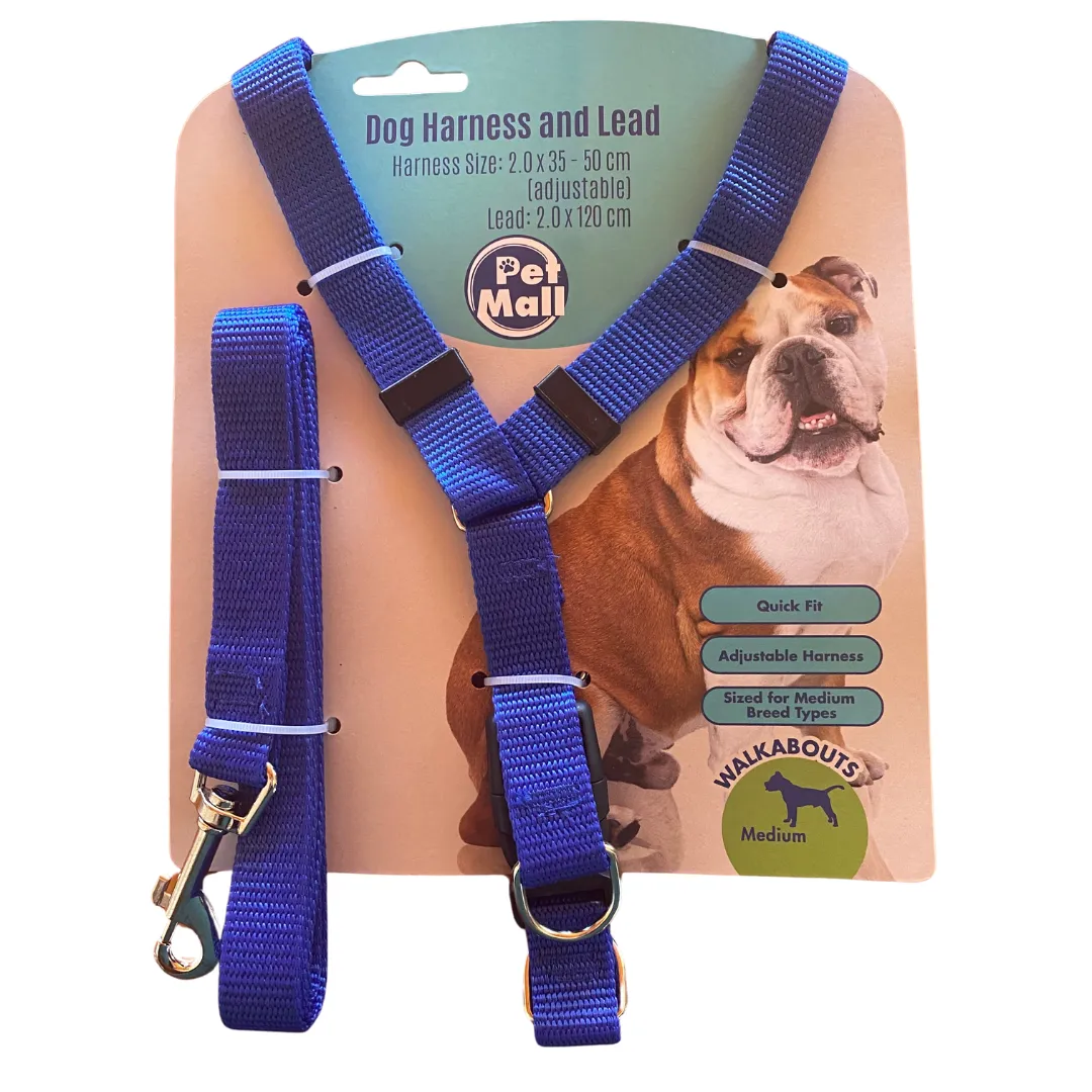Pet Dog Harness and Lead Set - Blue