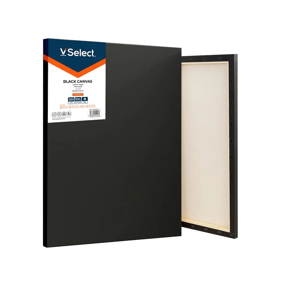 VSelect Stretched Cotton Canvas Boards for Painting Blank Painting Canvas - Black-40X50cm