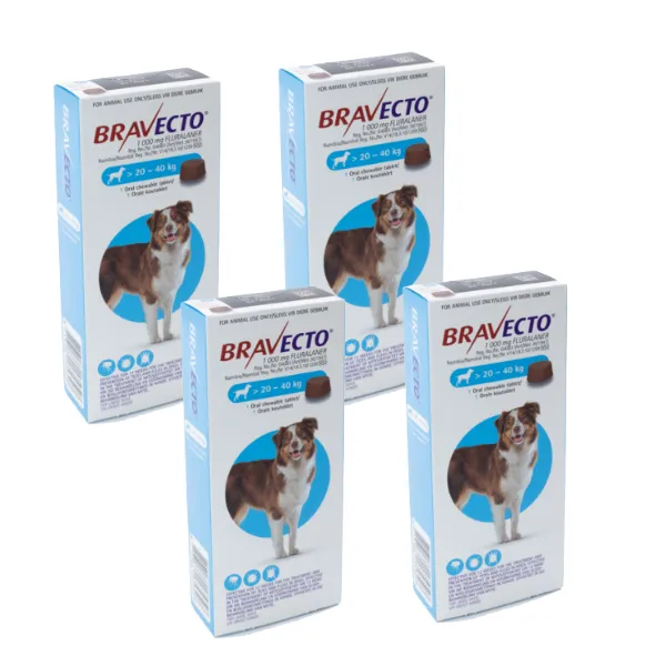 Bravecto Chewy Tablet-Large Dog (>20-40Kg) -Tick&Flea, Fast Acting - 4 Pack