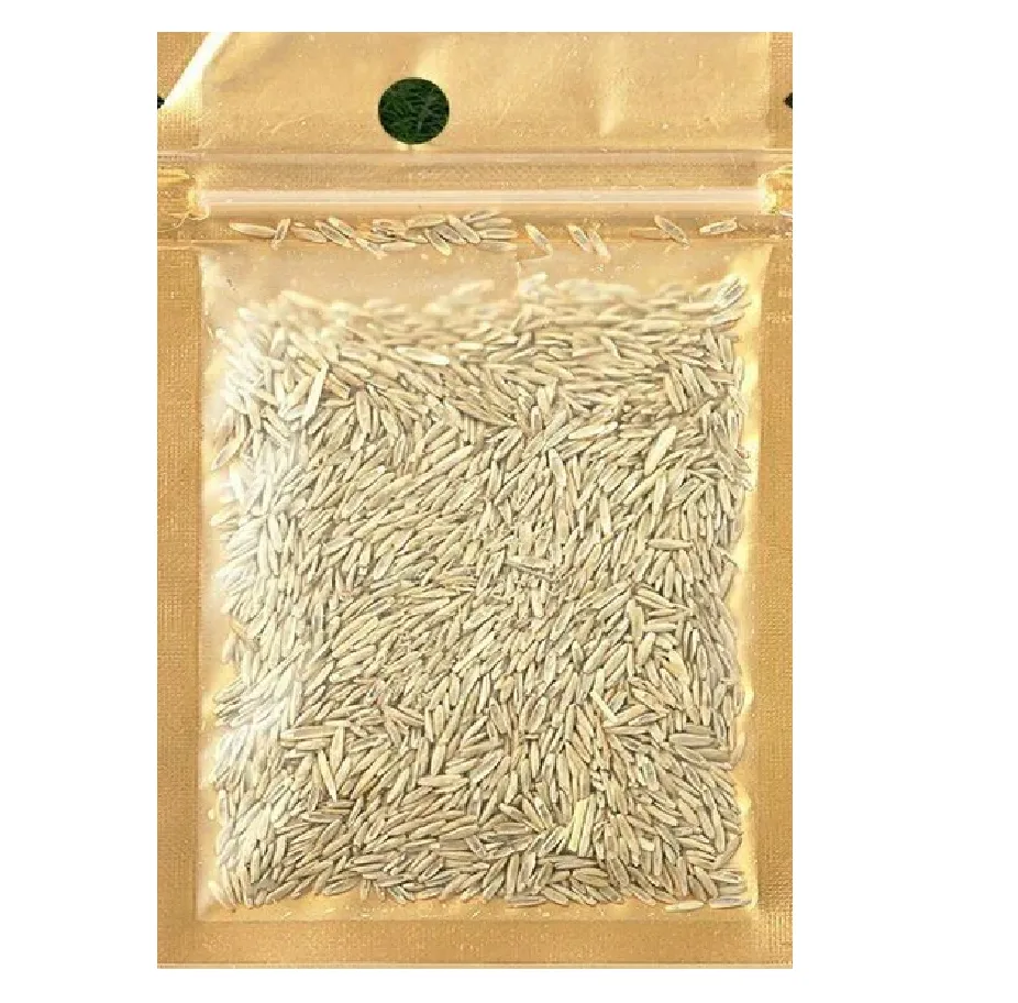 Aquarium Grass Plants Seeds - Aquatic Fescue Carpet Water Grass