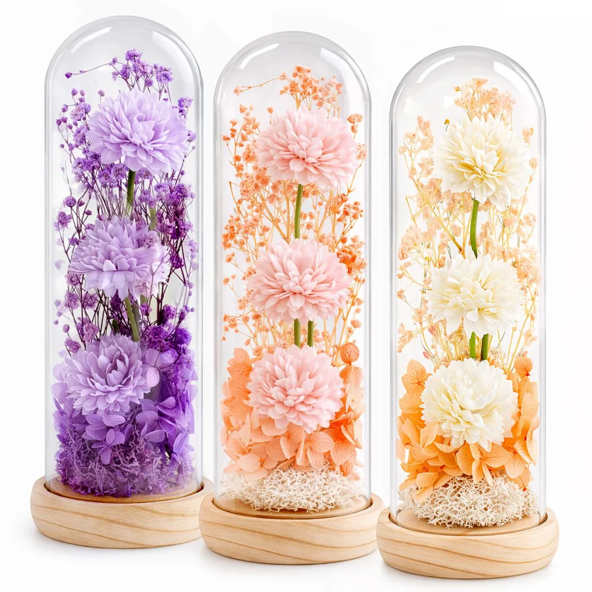 3Piece Preserve Flowers in Glass Dome Real Pompon Chrysanthemum Eternal