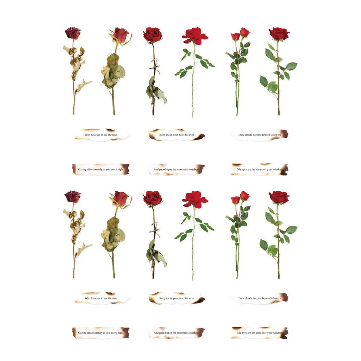 Strong Adhesive Rose Flower Stickers