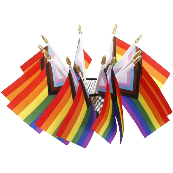 LGBTQ All Inclusive Pride Flags - 21 x 14cm - Set of 20
