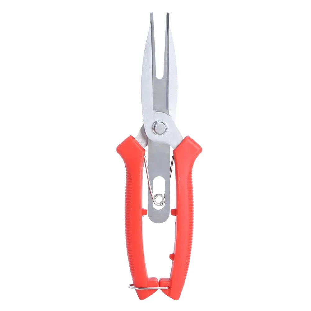Stainless Pruning Scissors Plant Tools