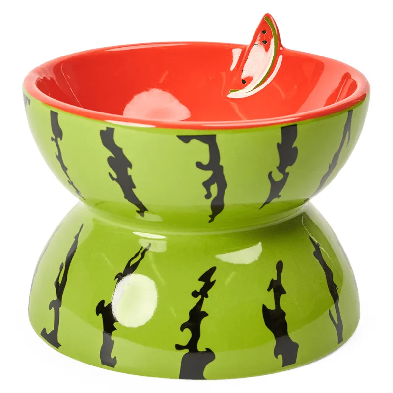 Raised Ceramic Pet Bowl, Cute Watermelon Elevated High Quality Pet Feeder