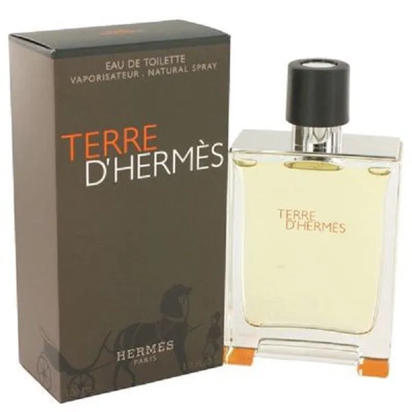 Hermes Terre D'Hermes Eau De Toilette 100ml (Parallel Import)