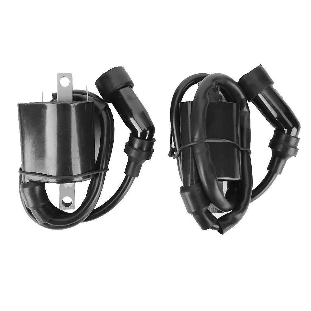 2Pcs Coil Compatible with Yamaha XVS1100 V-Star 1999-2009 5EL-82320-00-00
