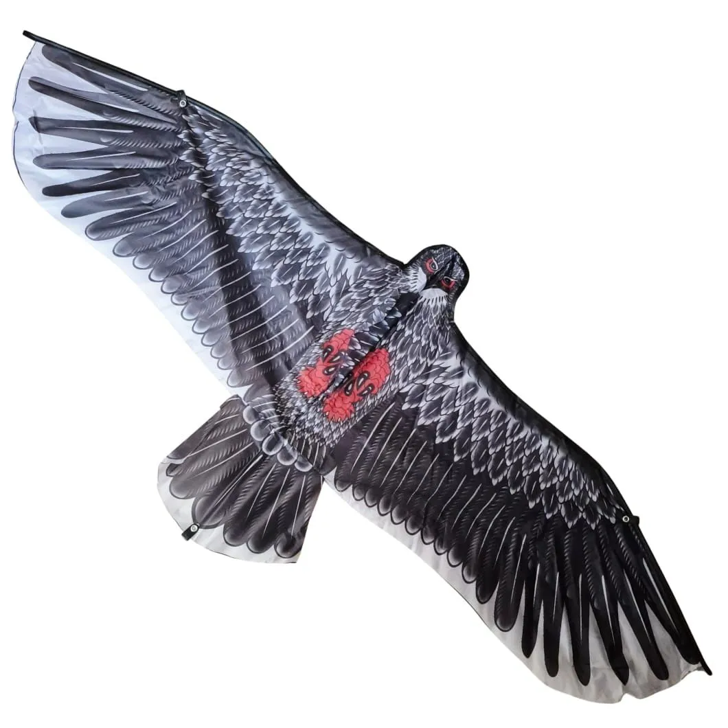 Falcon Bird Kite - Realistic Flying Bird Kite for Kids & Adults
