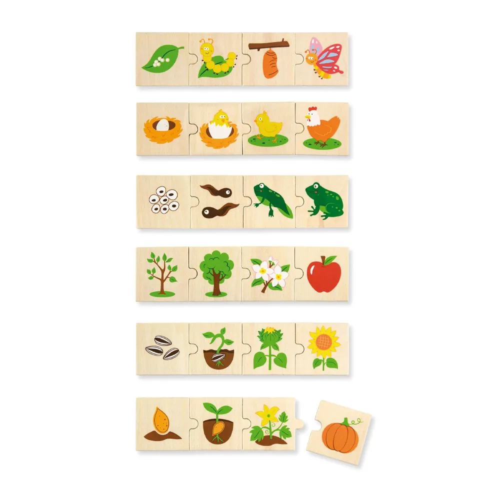 Growing Puzzle Set