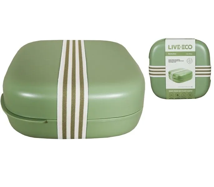 Plastic Square 2 Division Lunch Box - Green