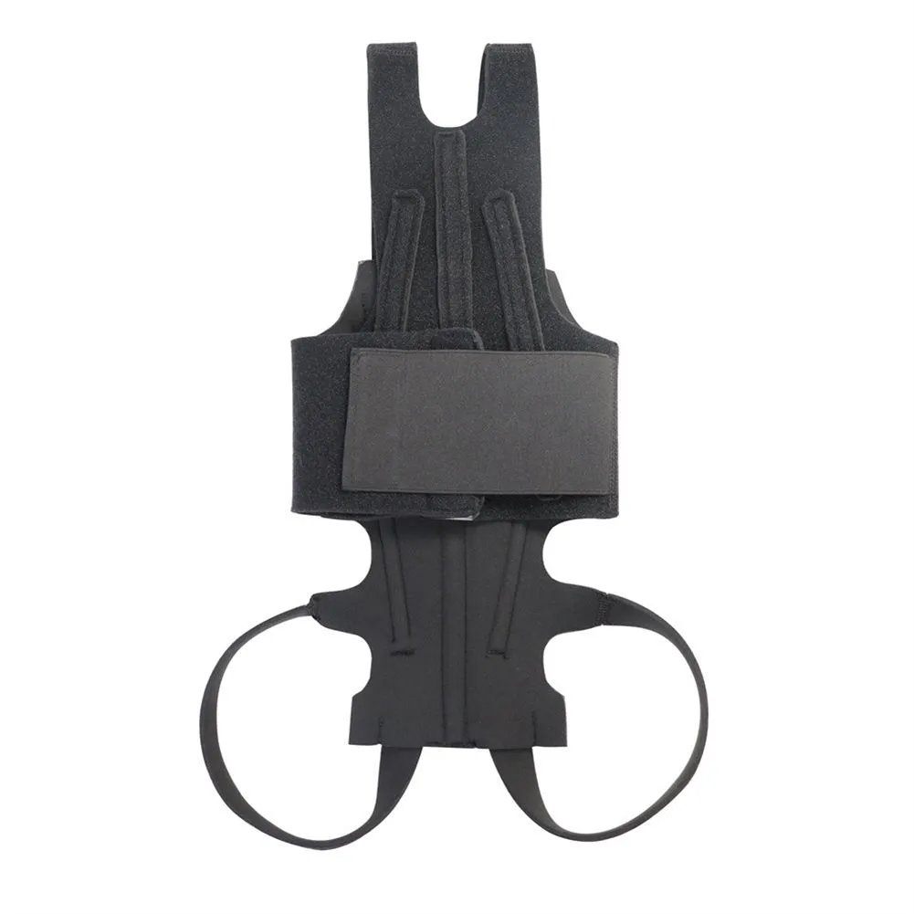 Dog Back Brace For Ivdd Pet Dog Back Brace Comfortable Dog Back M