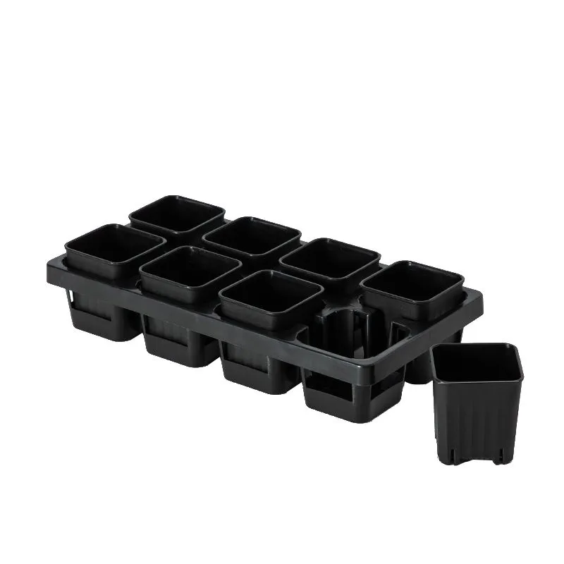 Garden Decor Succulents 8 Square Cup Pots With Grid Bracket (30cm) - Black