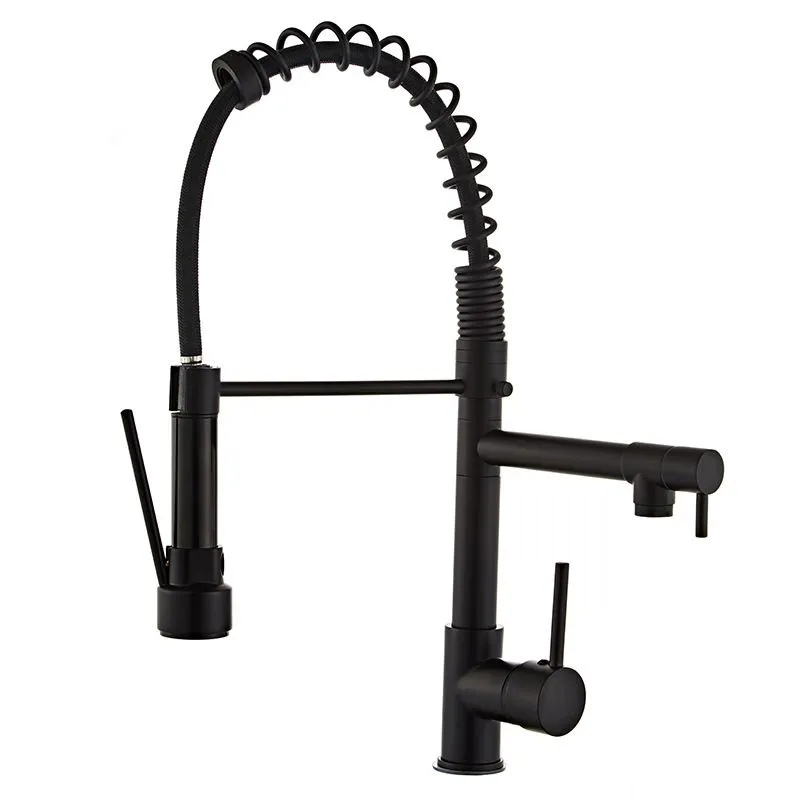 Kitchen Sink Faucet Taps Spring Neck 2 Spout - Black