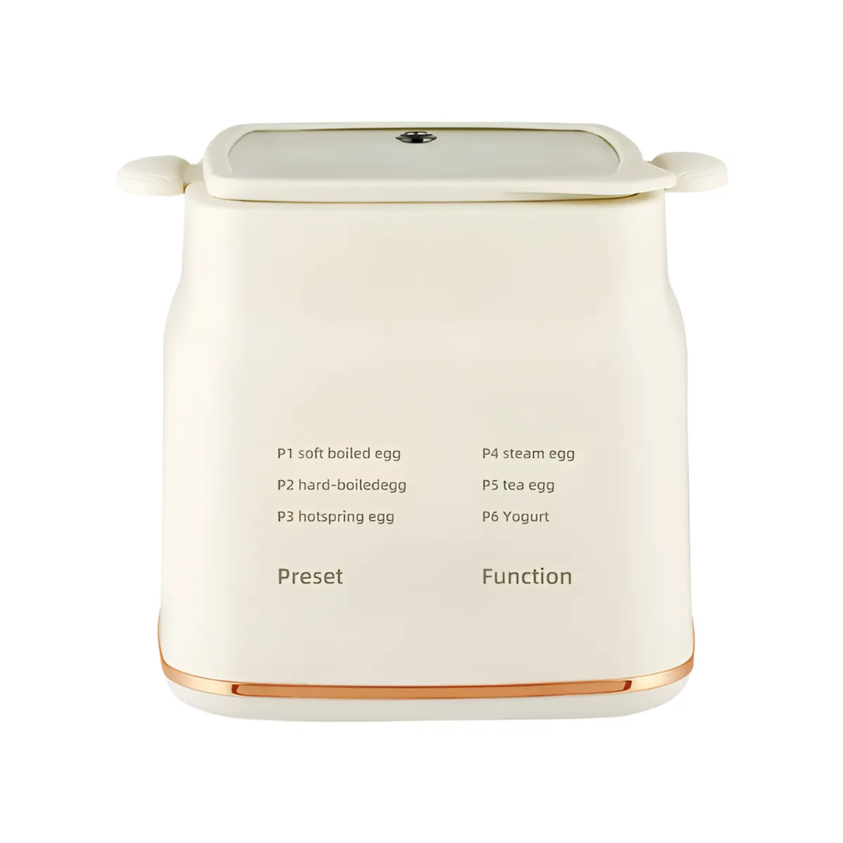Handheld 300W Egg Boiler and Steamer with Adjustable Heat Control