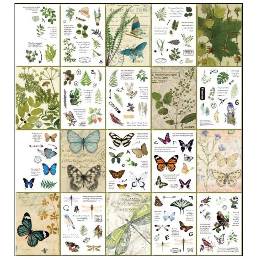 Craft Stationery Informative Wild Butterfly Stickers Set of 20 Scrapbooking