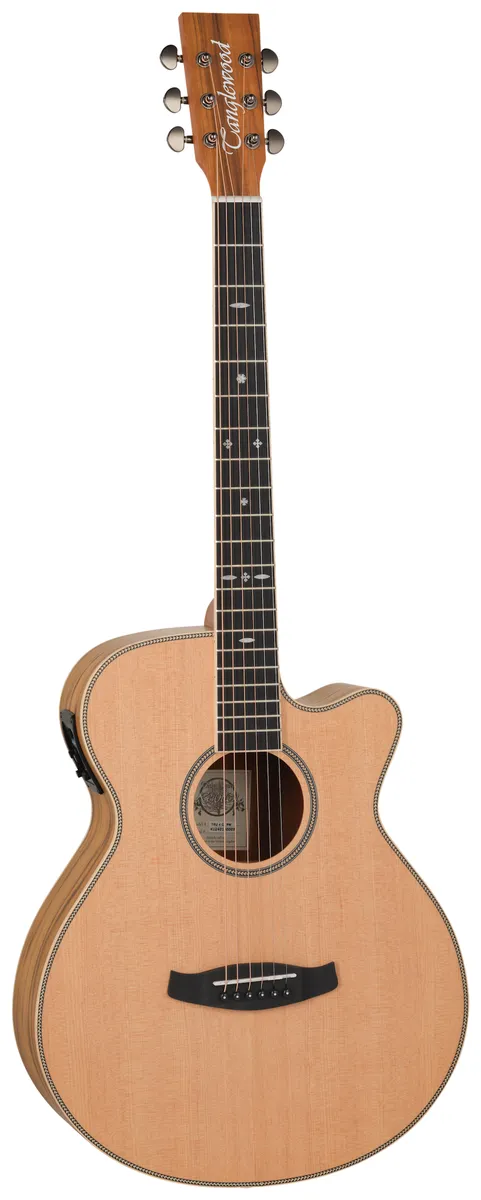TANGLEWOOD Reunion Super Folk Cedar Top Pacific Walnut Back & Sides