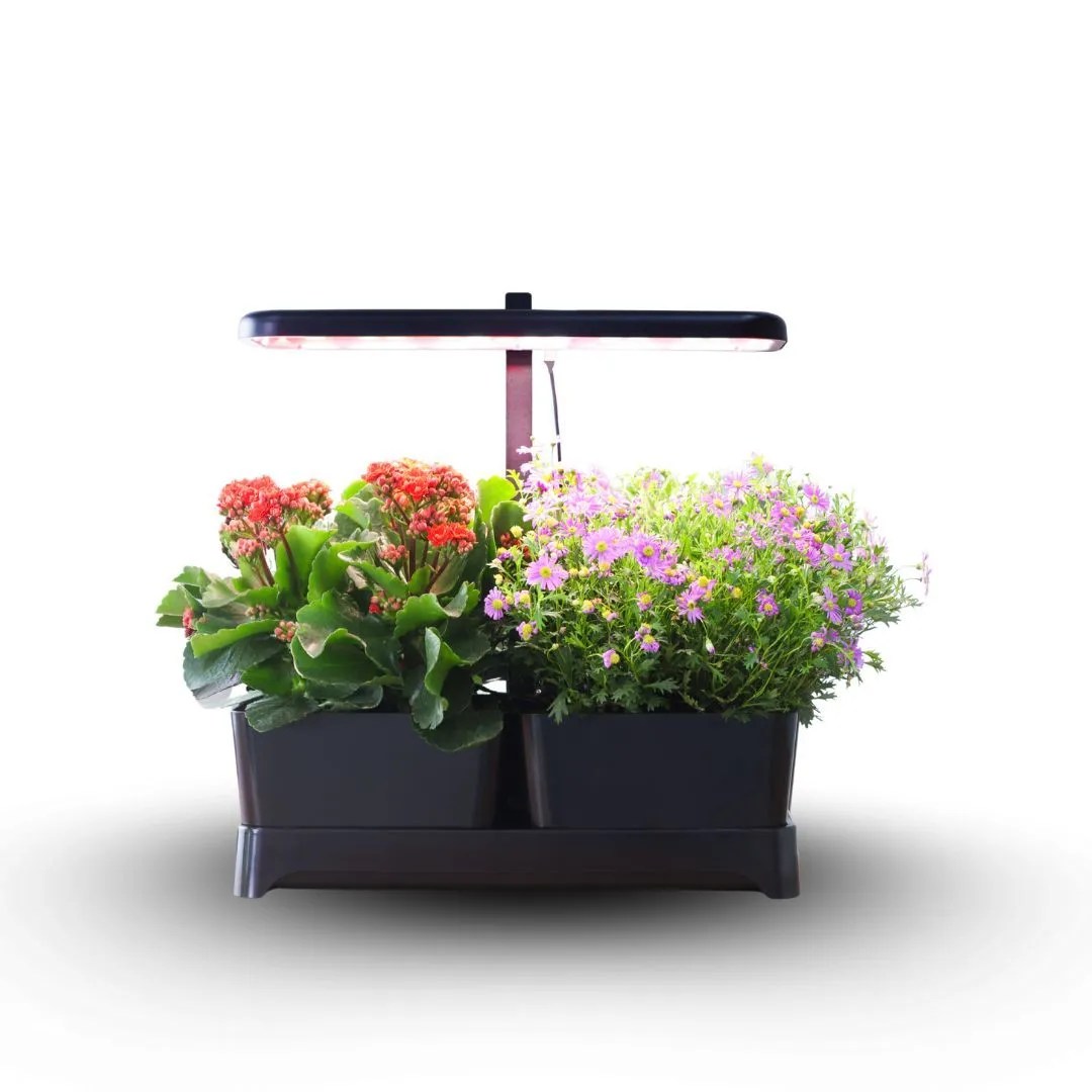 Smart Soil Planter with led grow light & self watering wicking system Z251 - Black