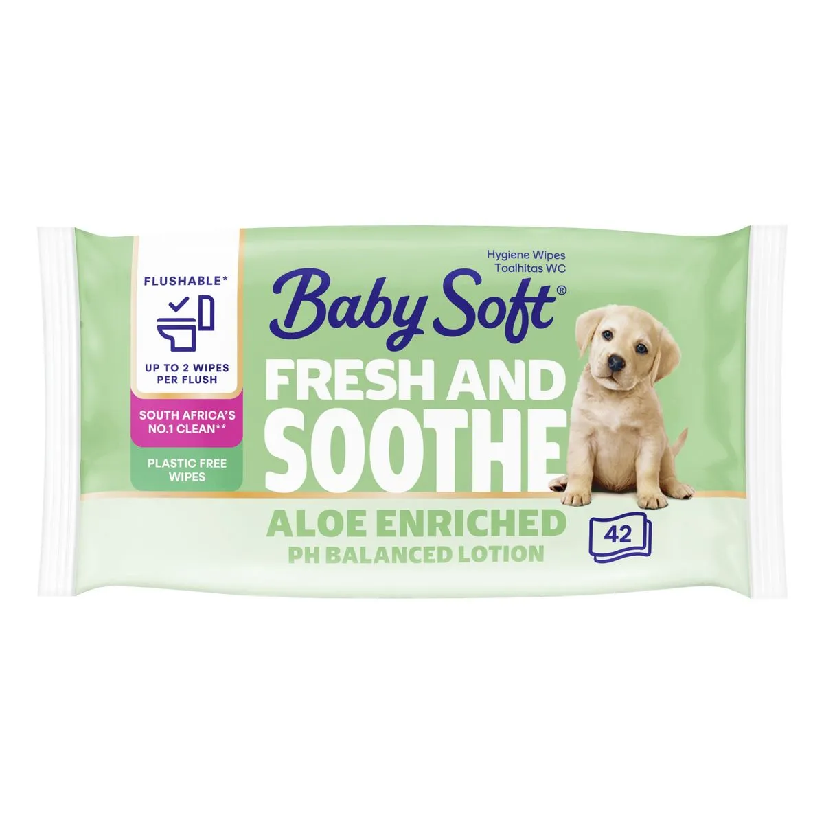 Baby Soft Skin Kind Moist Toilet Tissue - 42 Tissues