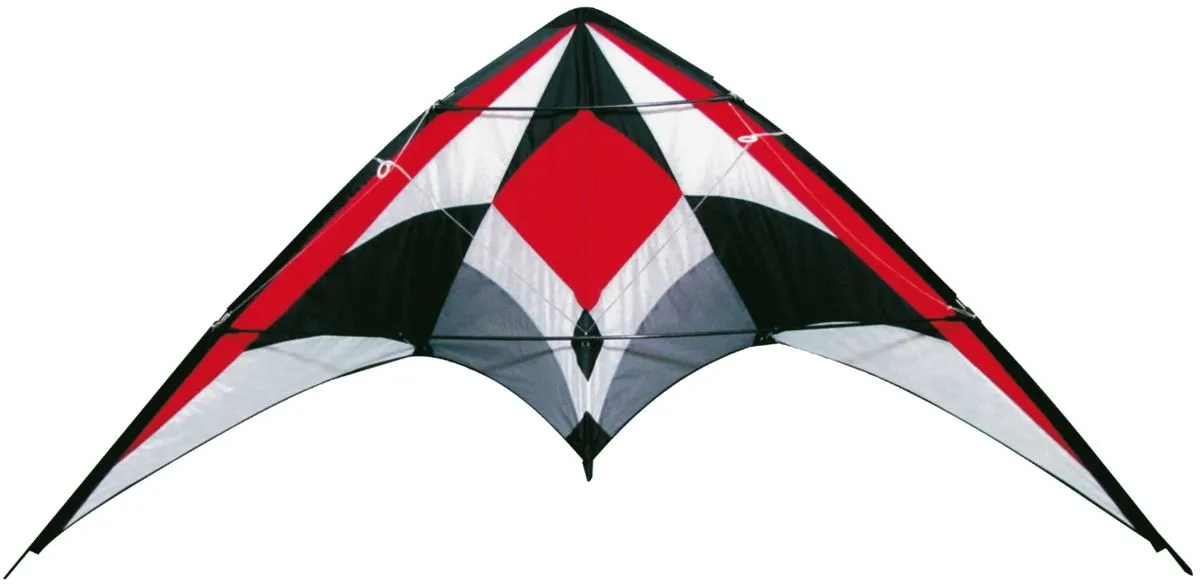 Allwin Delta Stunt Kite Dual Line - 120cm x 60cm
