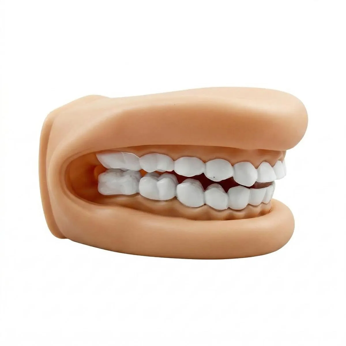 YOUYA DENTAL Educational Mouth Puppet with Tongue & Toothbrush Model