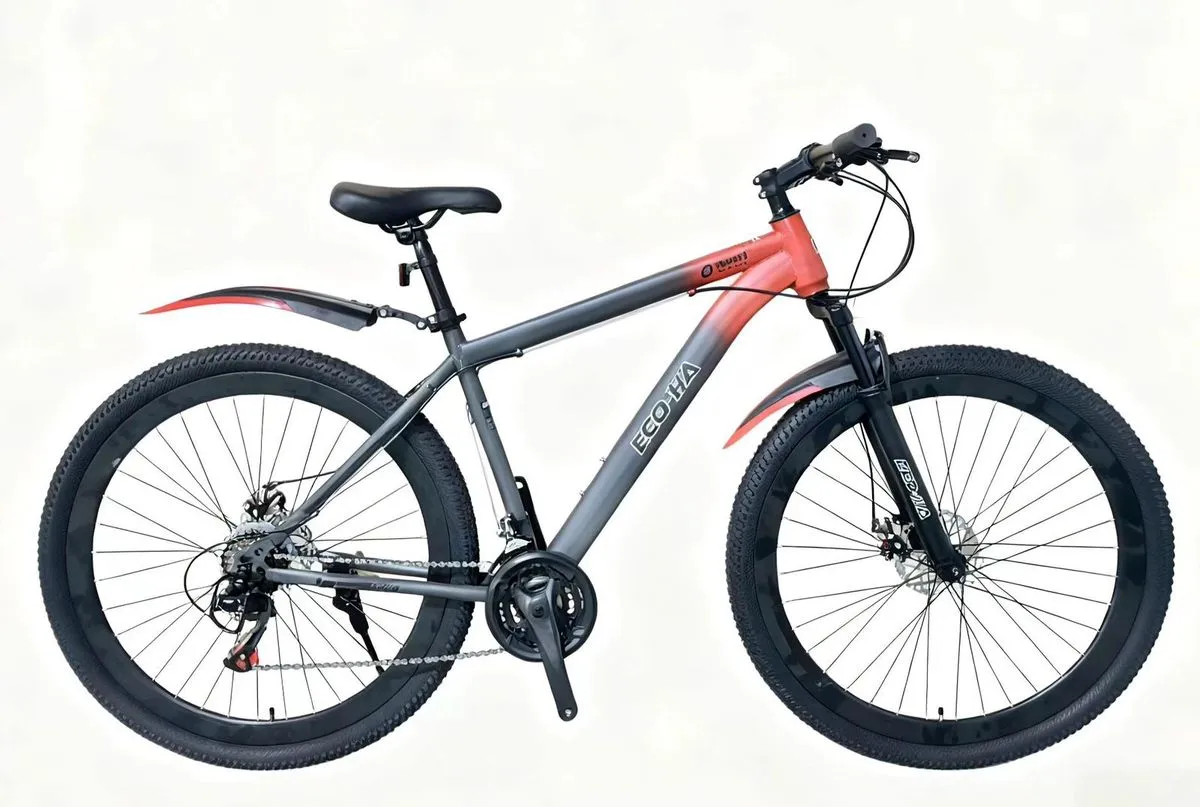 24" Inch Mountain Bike Cycle - Grey, Red
