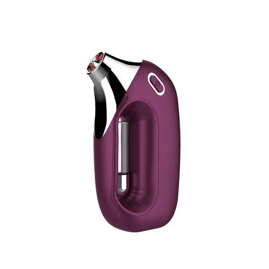 New Handheld Penguin Styling Spray Facial Beauty Instrument
