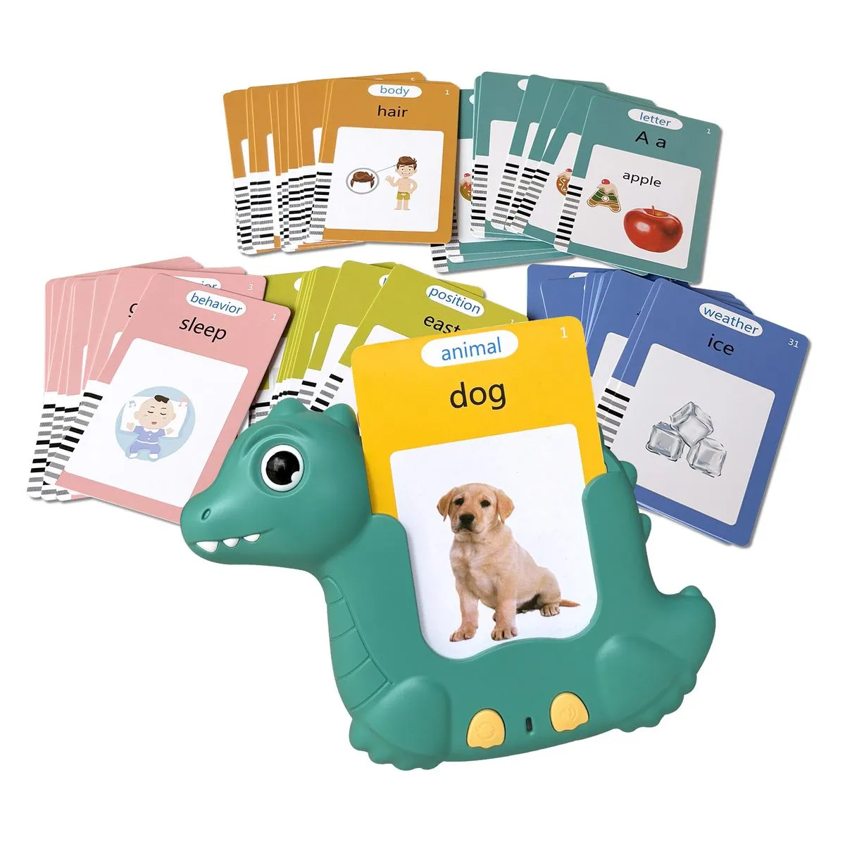 Dinosaur Flash Card Learning Toy Early Education Machine