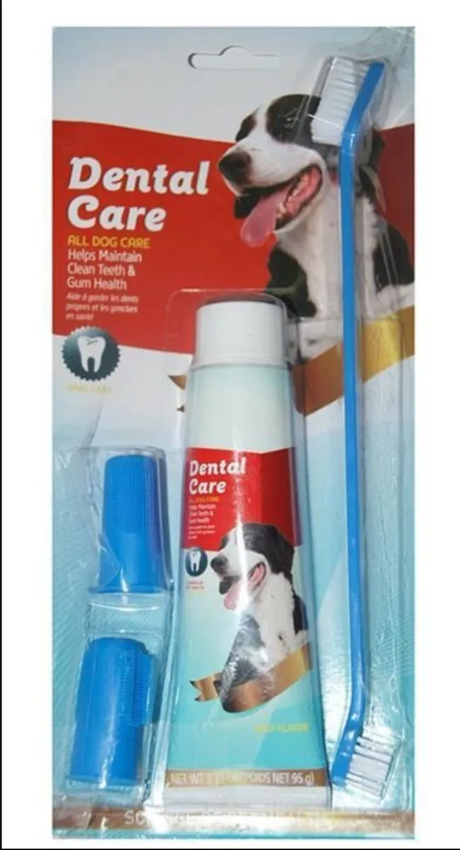 Dental Care Kit with DoubleSided Toothbrush, 2 Finger Brushes & Toothpaste