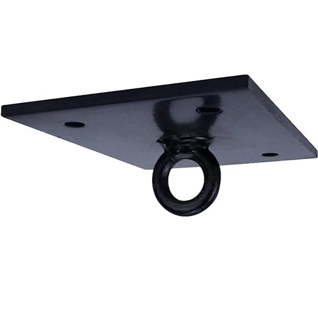 Boxing Bag Ceiling Bracket - Ligum Fight Gear