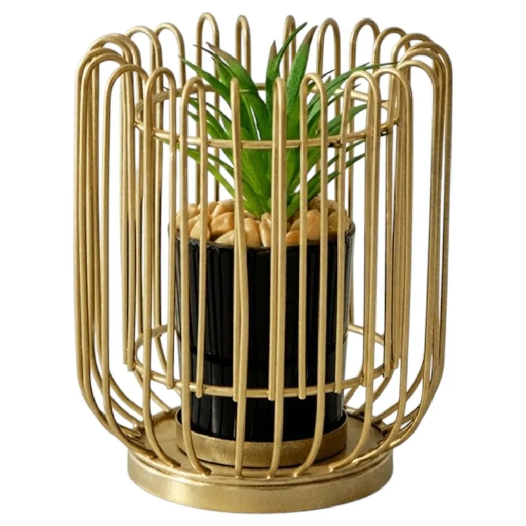 Modern Geometric Iron Frame Succulent Pot Plant - Gold
