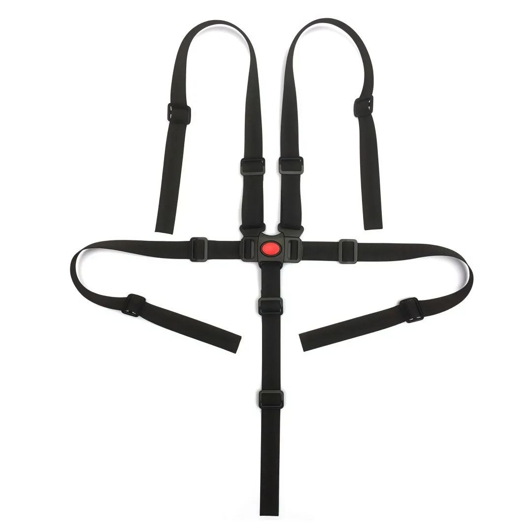 Kingdushi 5-Point Safety Harness Belt For Child, Adjustable Strap