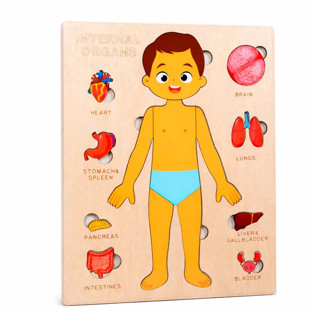 Montessori Human Body Puzzle - Wooden Anatomy Toy with Charts 3+