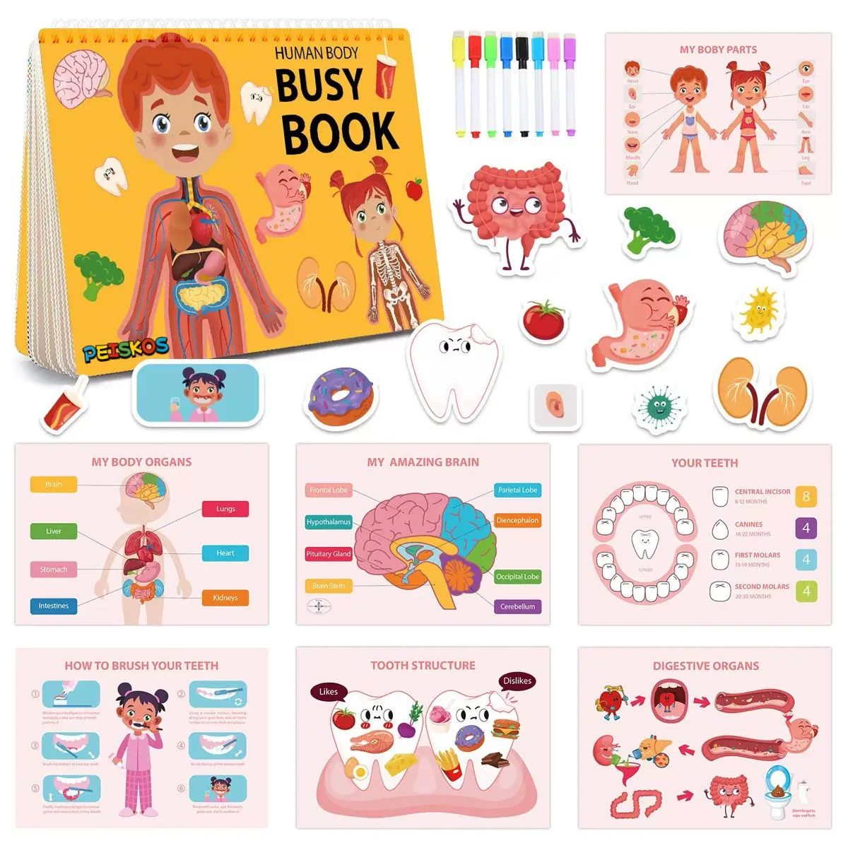PEISKOS Human Body Anatomy Busy Book Science Learning Toy Set Gift for Kids