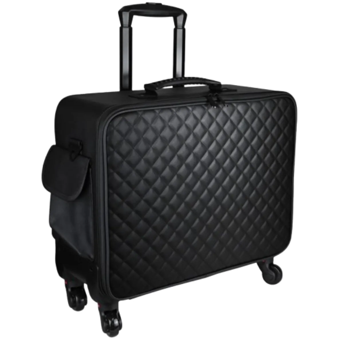 Professional Rolling Trolley Case
