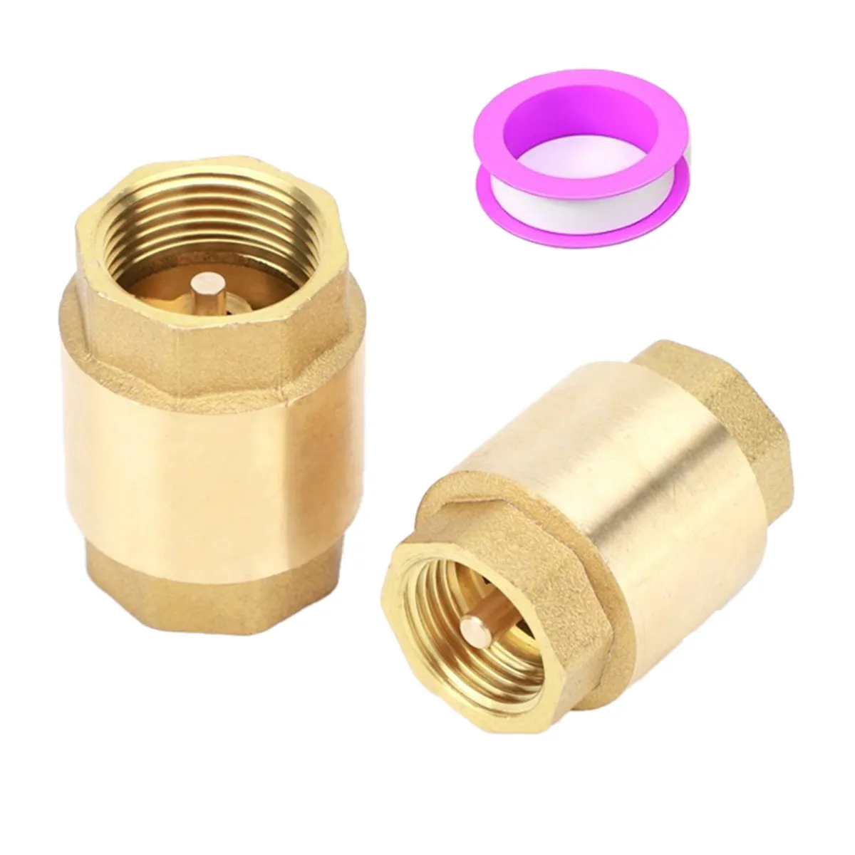 2Pieces 3/4 Inch NPT Female Thread Spring Check Valve