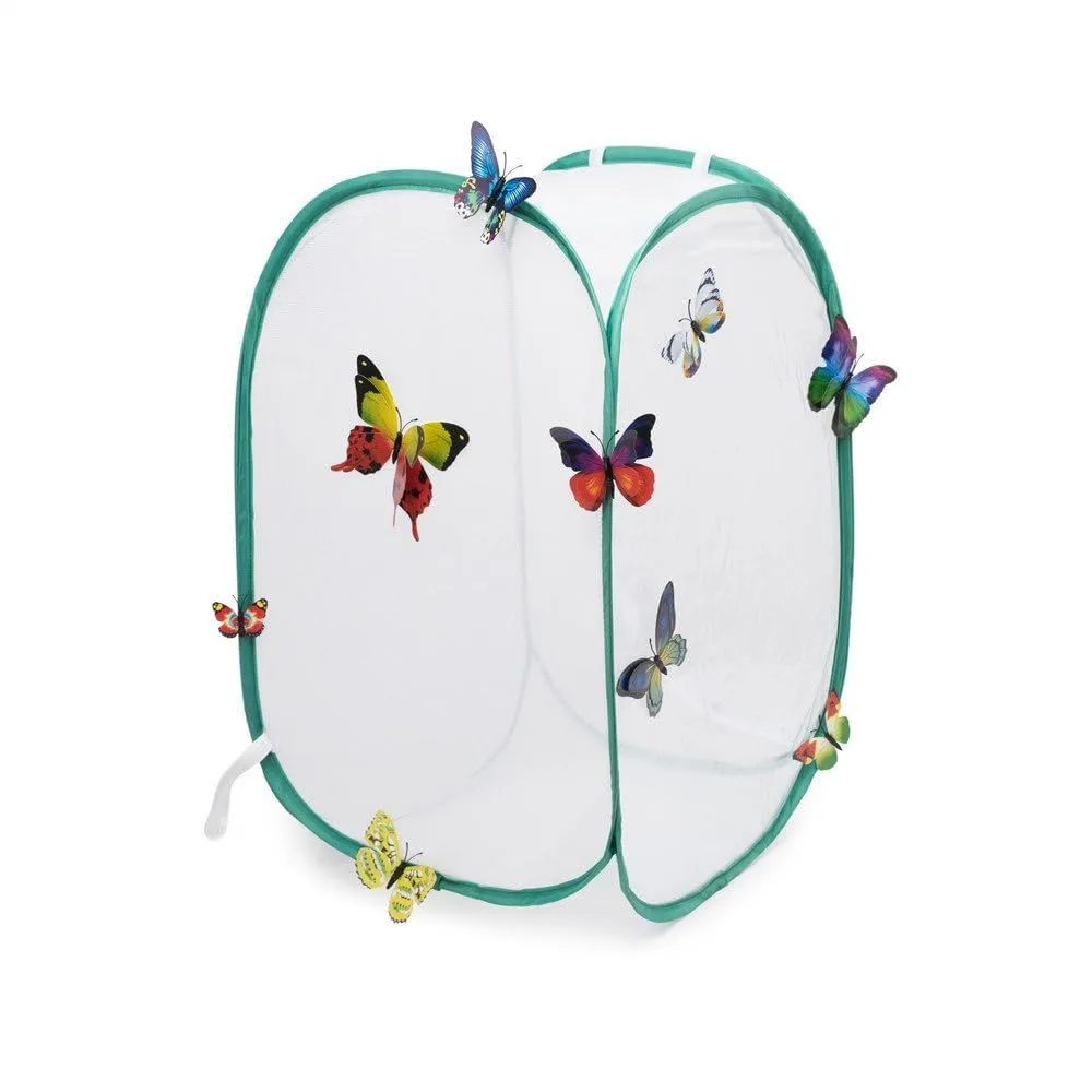 nsect and Butterfly Habitat Cage Terrarium
