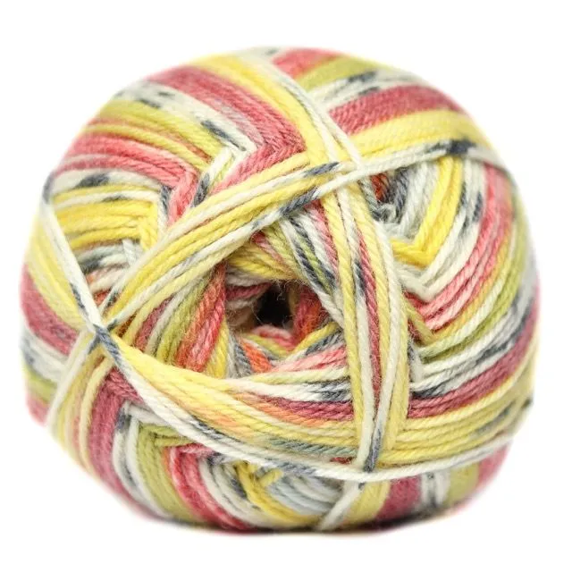 Elle Bon Voyage Socks n More Wool Pack of 5 x 100g - 500 Rainbow Mountain